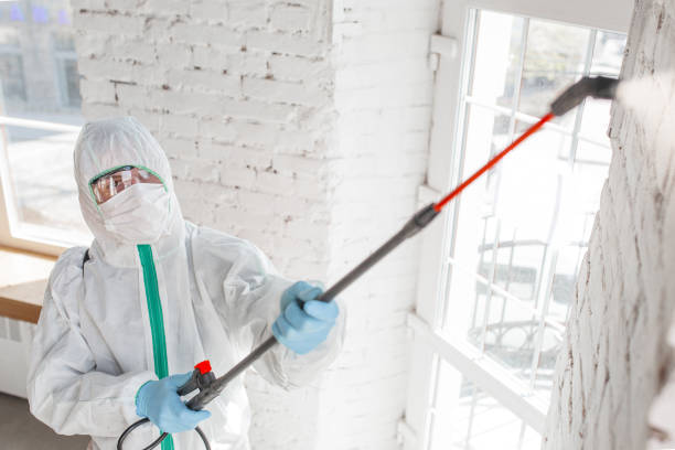 Best Mold-Related Health Consultation  in Huntgton, IN